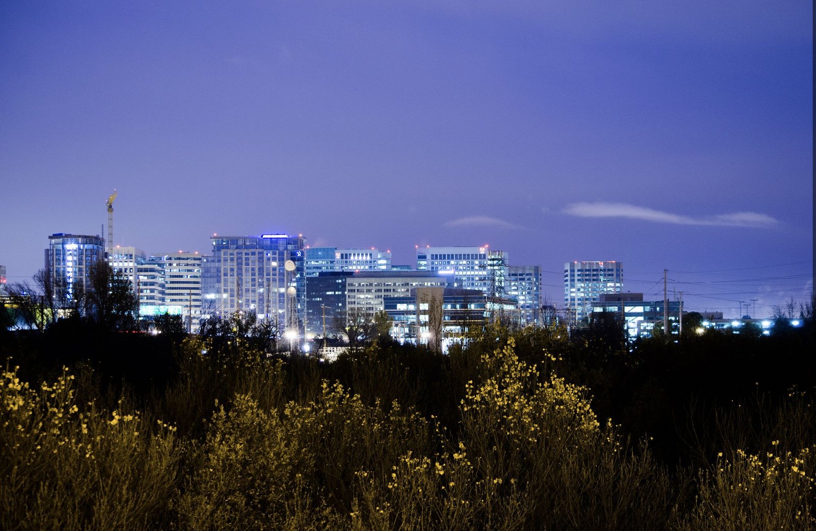 Downtown San Jose skyline at dusk